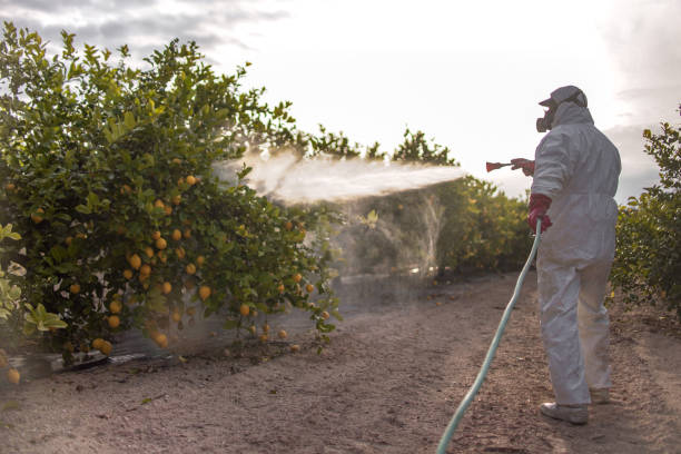  Grand Island, NE Pest Control Pros