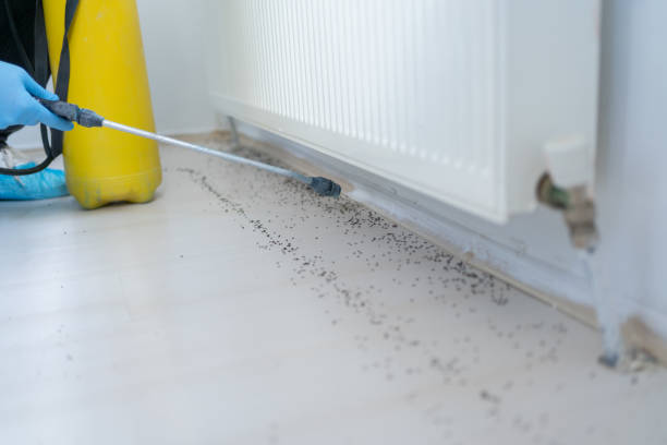 Best Best Pest Control Companies  in Grand Island, NE